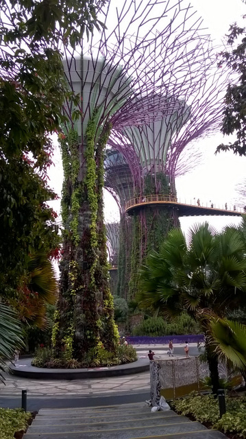 Besuch in Singapur auf der Suche nach dem Daumenring im traditionellen asiatischen Bogenschießen