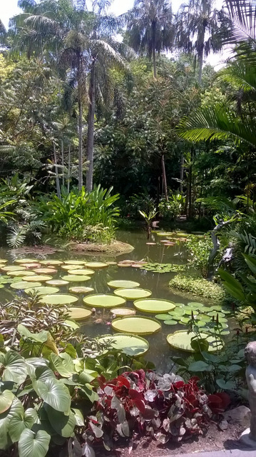 Besuch in Singapur auf der Suche nach dem Daumenring im traditionellen asiatischen Bogenschießen