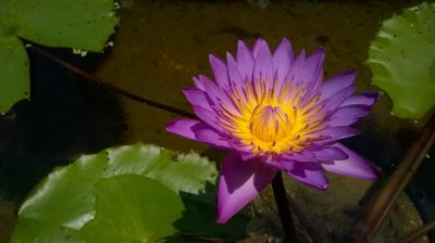 Besuch in Singapur auf der Suche nach dem Daumenring im traditionellen asiatischen Bogenschießen